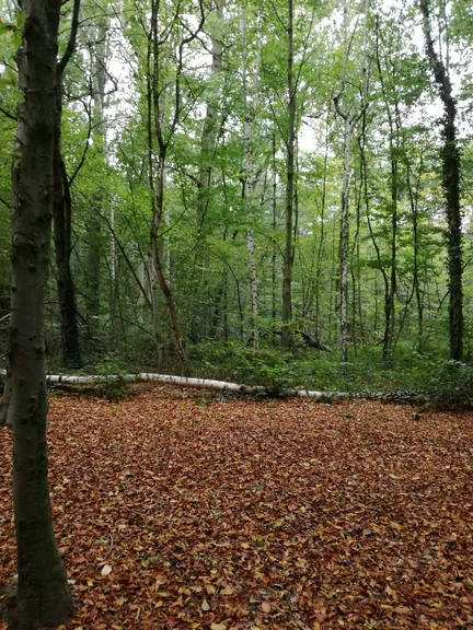 Gaasbeek + Kasteel van Gaasbeek (Lennik, België)